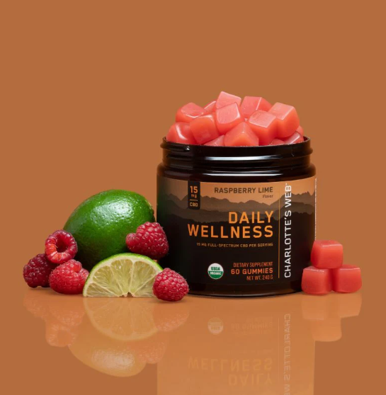 The Benefits of Gummies in Your Daily Wellness Routine