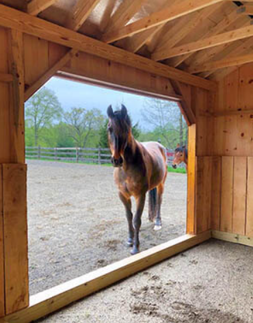 Delivered Run-In Sheds for Farms: Efficient Shelter Solutions with Convenience and Flexibility