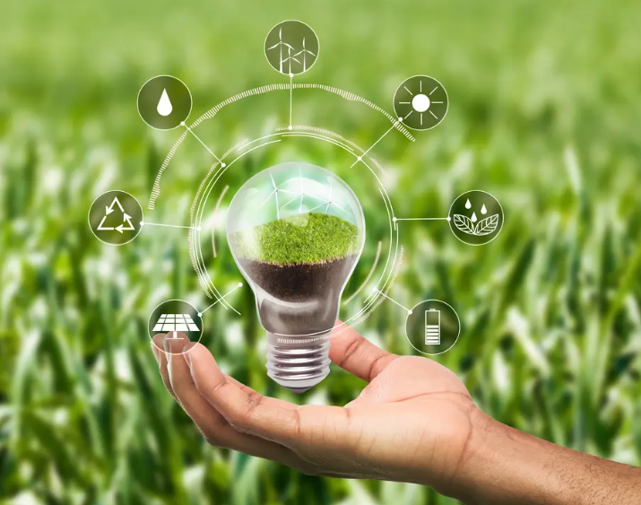 How to Embrace an Eco-Friendly Lifestyle: Simple Steps for a Greener Future