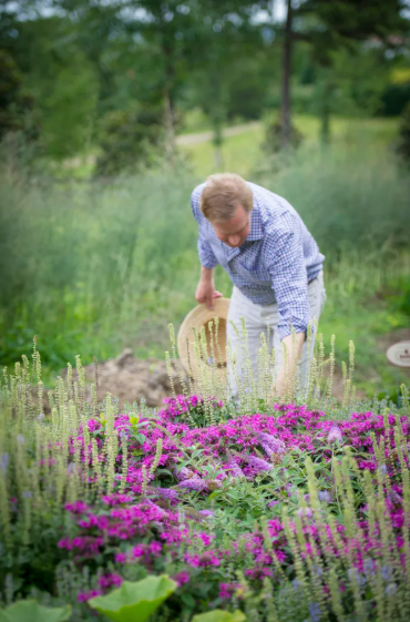 How Gardening Can Boost Your Mental Health: Get Your Hands Dirty for Happiness
