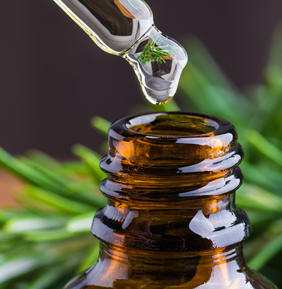 Elevate Your Wellness and Skincare Routine with Essential Oils